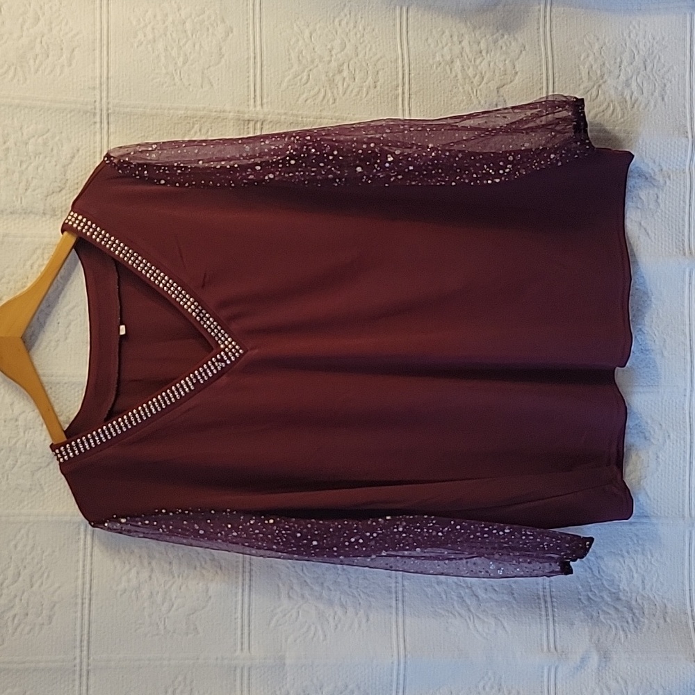 Sheer Sleeve Blouse